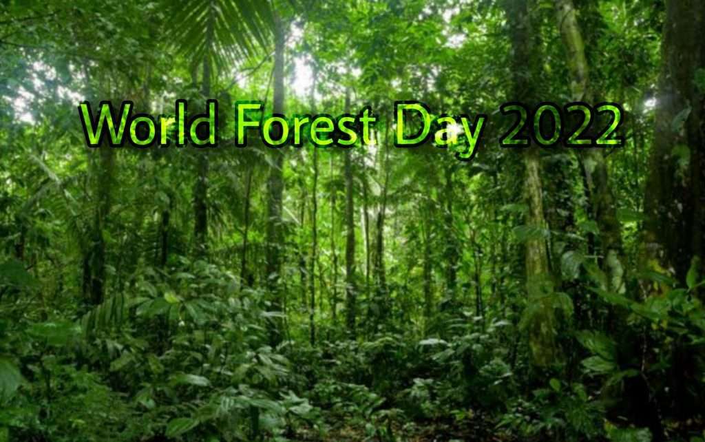 World forest day 2022 theme