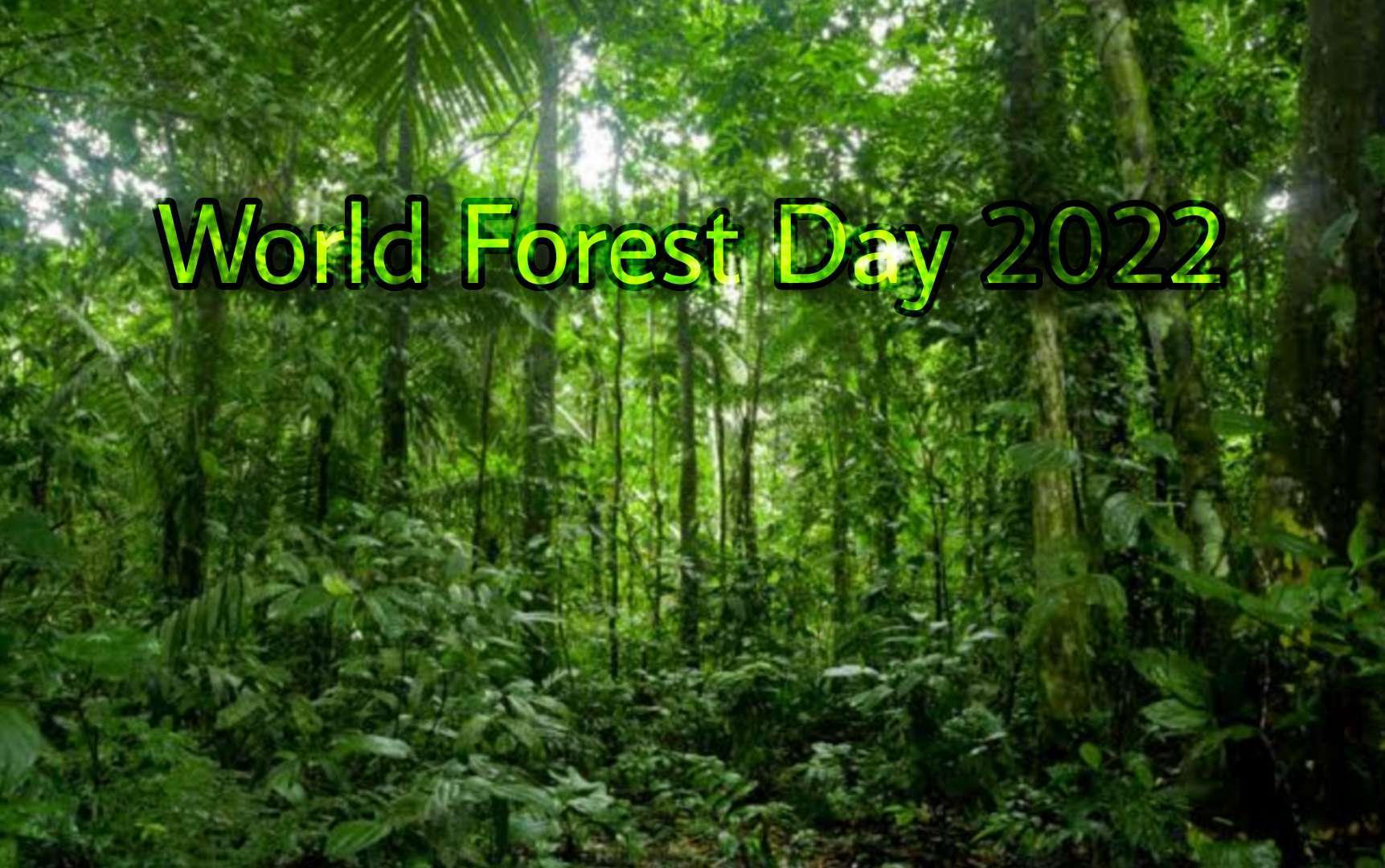  World Forest Day 2022: গোটা বিশ্বের সঙ্গে ভারতেও পালিত হচ্ছে